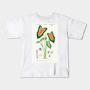 Elephant ear (Caladium bicolor) Kids T-Shirt